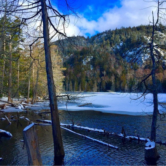 Making people laugh since 1961 - Picture 9 of 12